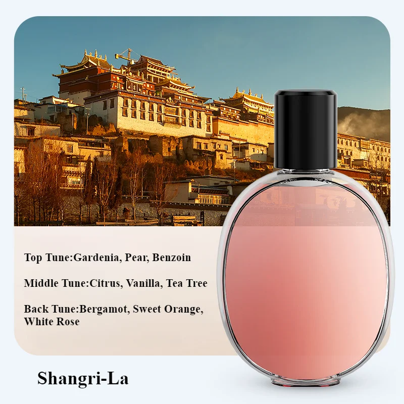 Diffuser Scent Machine