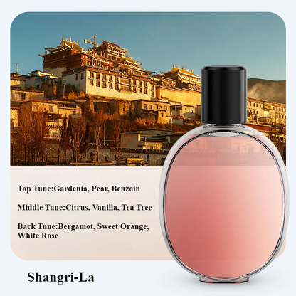 Diffuser Scent Machine